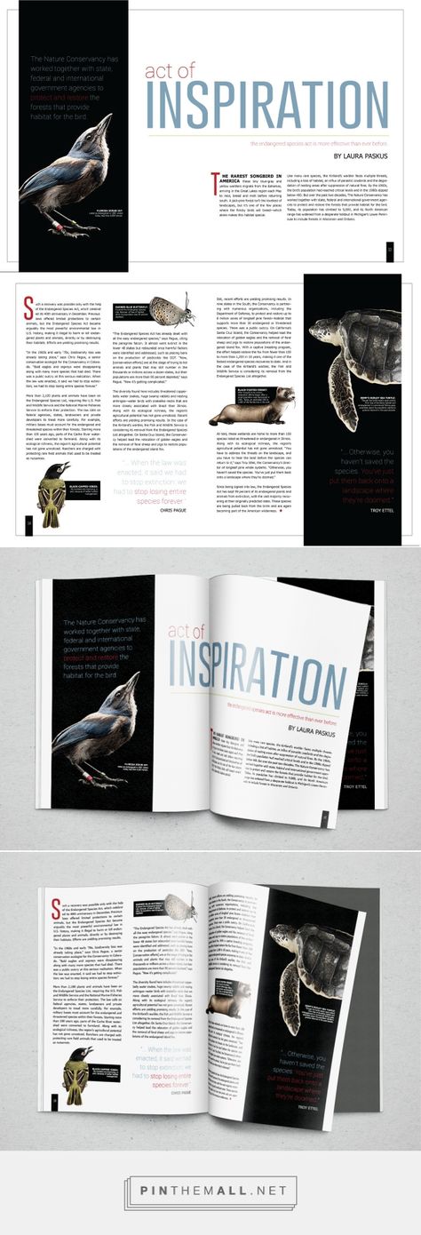 Animal Extinction Spread on Behance - created via https://pinthemall.net Animal Magazine Design, Animal Magazine Layout, Animal Extinction, Guidebook Design, Typography Magazine, Book Editorial Design, Animal Magazines, Magazine Layout Inspiration, Magazine Spread