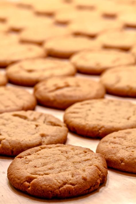 Maple peanut butter cookies are a sweet twist on the traditional cookie. Add them to your cookie gifts this holiday season, everyone will love them! Maple Peanut Butter, Maple Syrup Cookies, Maple Cookies, Best Peanut Butter Cookies, Jelly Cookies, Classic Peanut Butter Cookies, Almond Butter Cookies, Chocolate Peanut Butter Cookies, Butter Cookies Recipe