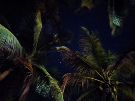 Dark Hawaiian Aesthetic, Spooky Island Aesthetic, Tropical Gothic Aesthetic, Island Aesthetic Dark, Dark Tropical Aesthetic, Tropical Academia, Regional Gothic, Tropical Halloween, Tropical Goth