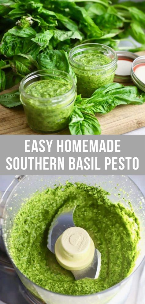 Basil Pecan Pesto, Pesto Recipe With Pecans, Sweet Basil Pesto Recipe, Pecan Pesto Recipe, Canned Pesto Recipe, Pesto Dinner, Pecan Pesto, Fresh Basil Recipes, Greens Recipes