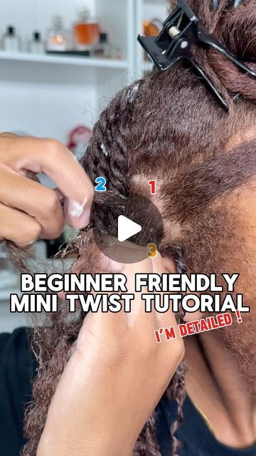 Natural Hair Styles For Black Women Twists, Mini Twists Natural Hair Tutorials, Low Porosity Hair Care, Mini Twists Natural Hair, Lifestyle Creator, Low Porosity Natural Hair, Hair Twists Black, Low Porosity Hair, Low Porosity