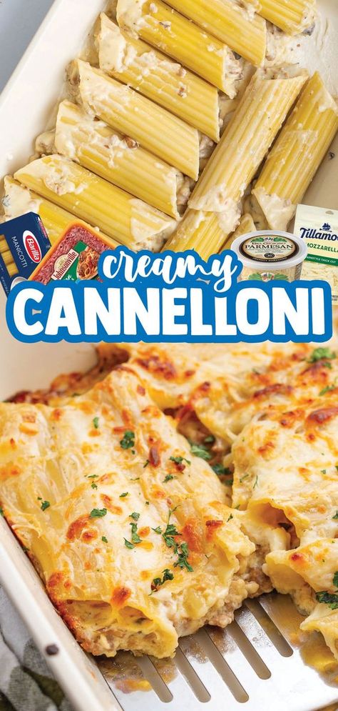 Baked Cannelloni Baked Cannelloni, Pasta Shells Stuffed, Shells Stuffed, Cannelloni Recipes, Hashbrown Breakfast Casserole, Pasta Shells, Dump Meals, Best Casseroles, Dinner With Ground Beef