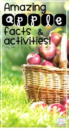 Apple Facts For Kids, Apples Activities, Kindergarten Apples, Apple Science, Kindergarten Esl, Apple Facts, Preschool Rules, Apple Classroom, Autumn Apples