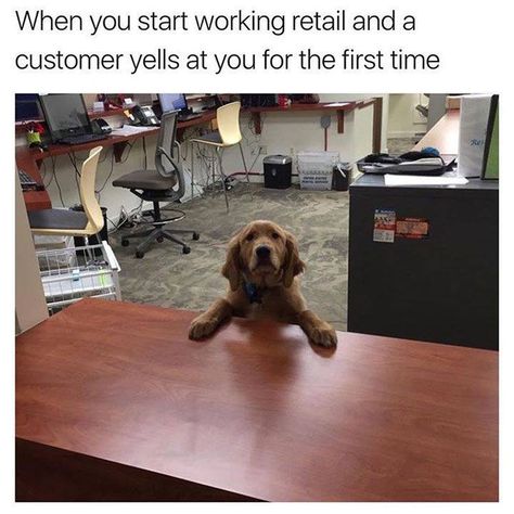 Retail Meme, Customer Service Funny, Working Retail, Retail Humor, Funny Memes About Life, Paper Press, Working In Retail, Memes Of The Day, Work Memes