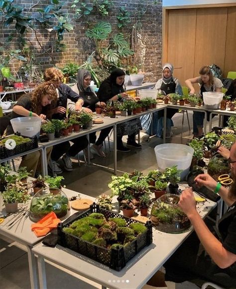 Reminiscing on the fab time had at the @gardenmuseum for the Houseplant Festival a couple of weeks ago 💚⁠ ⁠ Thank you to everyone who came by to see us, and thank you to those of you who joined us for our terrarium making workshop! Houseplant Workshop, Workshop Ideas For Women, Plant Shop Ideas, Planting Workshop, Plant Festival, Gardening Workshop, Succulent Workshop, Terrarium Shop, Terrarium Making