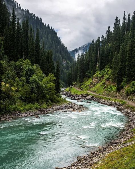 UNILAD Adventure on Instagram: “"Though whole Neelum valley is very beautiful but beyond Kel the beauty of Neelum valley is totally at different level ❤" 📸…” Neelum Valley, Photography Club, Walking In Nature, Wonderful Places, Vacation Spots, Insta Travel, Landscape Art, Landscape Photography, The Beauty