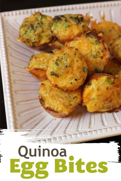 Easy Quinoa Egg Bites - Good Cheap Eats Budget Recipes Quinoa Egg, Veggie Fritters, Quinoa Recipes Easy, Quinoa Bites, Candida Recipes, Easy Quinoa, Egg Bites Recipe, Budget Recipes, Quinoa Healthy