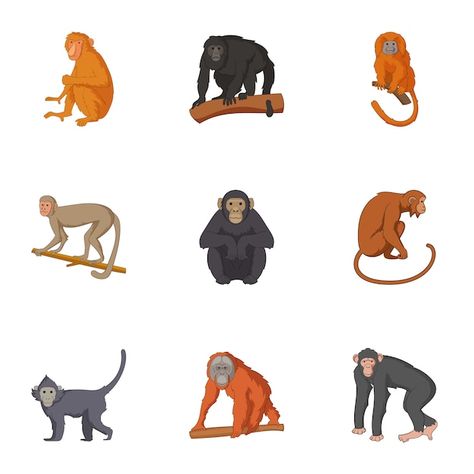 Chimpanzee Cartoon, Zoo Poster Design, Jungle Cartoon, Monkey Icon, Types Of Monkeys, Baby Gorillas, Baby Orangutan, Tropical Animals, Animal Icon