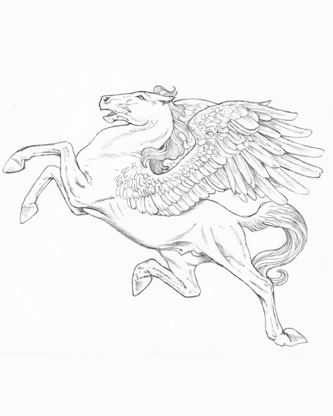 Art by @stephenfosterdesign on Insta Carasoul Horse Tattoo, Medieval Horse Art, Thestral Drawing, Pegasus Sketch, Greek Mythology Animals, The Last Unicorn Tattoo, Pegasus Painting, Horse Running Drawing, Pegasus Drawing