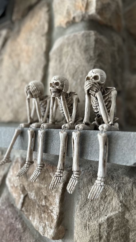 Trio of 3 skeletons Skeleton Friends Aesthetic, Trio Skeleton, 3 Skeletons Dancing, 3 Skeletons, Skeleton Friends, Skeleton Memes, Skeleton Memes Hilarious, Elf On A Shelf, Reaper Skeleton Memes