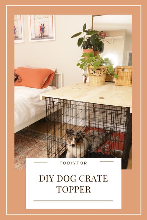 This is an easy and quick way to help your dog crate blend in with your decor. PLUS it can double as a table or storage space! We store Nova's treats/toys/grooming tools in decorative boxes ontop! Table Top Dog Crate, Diy Wood Top For Dog Crate, Dog Crate Entry Table, Dog Crate In Office, Cute Dog Crate Ideas Diy, Table Top For Dog Crate, Dog Crate Storage Ideas, Small Living Room With Dog Crates, Make Dog Crate Pretty