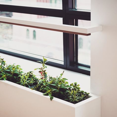 ERA designed this window box to be installed *inside* the apartment to provide fresh herbs and produce for the kitchen. A grow light is recessed inside a solid wood plank, which hovers above the planter on a steel arm. Kitchen Window Garden, Indoor Window Planter, Window Planter, Window Kitchen, Window Planters, Indoor Window, Kitchen Herbs, Herb Planters, Garden Windows