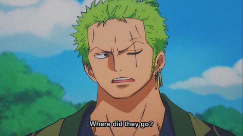 Roronoa Zoro on Twitter: "I’m lost again !?😞… " Zoro Roronoa, رورونوا زورو, Watch One Piece, One Piece Ace, Zoro One Piece, One Piece Pictures, Anime Screenshots, Fictional Crushes, Roronoa Zoro