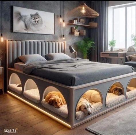 Built In Dog Bed, Adult Bed, Dreams Beds, Unique Beds, Cool Beds, Dream House Decor, Design Case, Dream Home Design, 인테리어 디자인