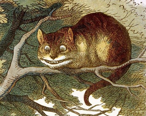 Cat Symbolism, Cheshire Cat Quotes, Queen Of Hearts Alice, Alice In Wonderland Book, John Tenniel, Wonderland Quotes, Image Chat, Cat Artwork, Lewis Carroll