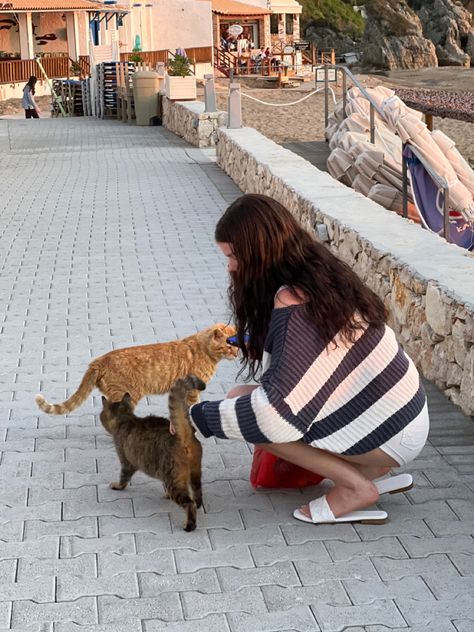 greece beach with cats Greece Aesthetic Instagram, Summer In Greece Aesthetic Vintage, Greek Beach Outfits, Crete Greece Aesthetic Outfits, Travel Greece Aesthetic, Cyprus Aesthetic Outfits, Corfu Greece Outfits, Thessaloniki Greece Aesthetic, Living In Greece Aesthetic