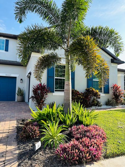 20 Best Landscaping Ideas for a Large Front Yard (2023) Best Landscaping Ideas, Florida Plants Landscaping, Full Sun Landscaping, Front Lawn Landscaping, Palm Trees Landscaping, Coastal Landscaping, Florida Landscape, Florida Landscaping, Florida Plants