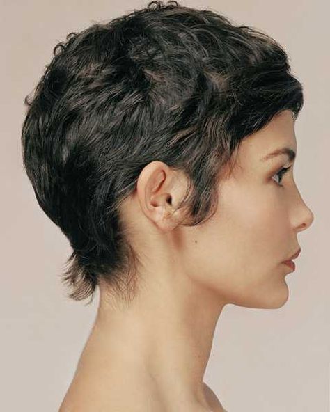 i dare someone to hijack the audio at a WalMart and play this instead - Imgur Pixie Cut Curly Hair, Audrey Tautou, Curly Pixie Cuts, Curly Pixie, Wavy Curly Hair, Pixie Hairstyles, Hair Today, Great Hair, Pixie Haircut