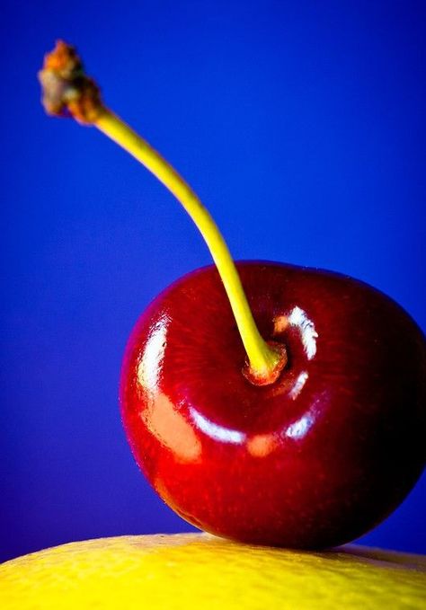 ... Portals Art, Franco Fontana, Image Zen, Gcse Photography, Cherries Jubilee, Bright Winter, Color Harmony, Foto Art, Back To Nature