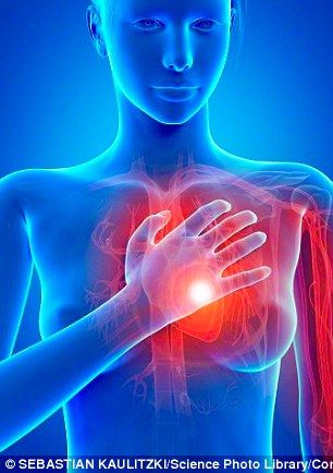 Cardiac Disease, Clogged Arteries, Health Planner, Pregnancy Loss, Strengthening Exercises, Heart Problems, Nerve Pain, Cardiovascular Disease, Acupressure