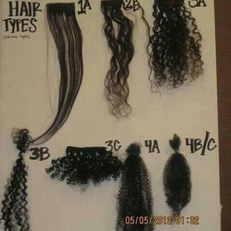 hair typing visual Black Hair Care, Hair Texture Chart, Hair Type Chart, 3a Hair, Cabello Afro Natural, Curly Hair Types, Pelo Afro, Different Hair Types, Natural Hair Inspiration