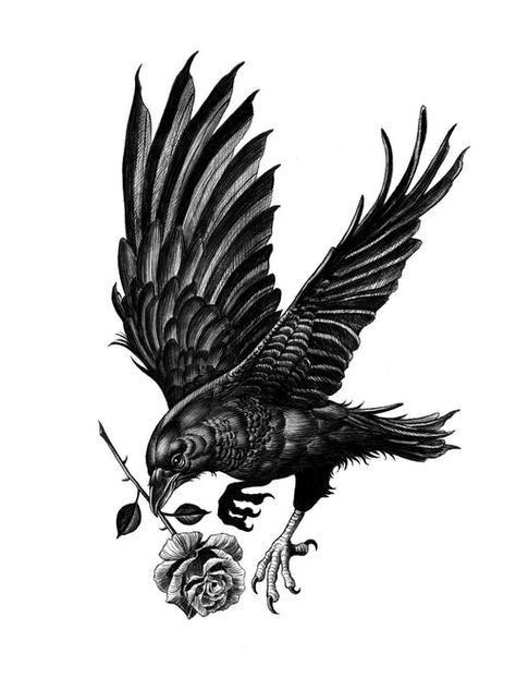 Crow Tattoo For Men, Black Crow Tattoos, Rabe Tattoo, Crows Drawing, Crow Tattoo Design, Black Bird Tattoo, Bauch Tattoos, Tato Lengan, Crow Tattoo