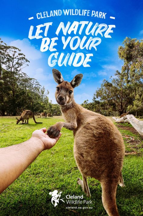 Tourism Design, Australia Tourism, Social Advertising, Tourism Marketing, Travel Ads, Creative Advertising Campaign, Graphic Design Ads, Wildlife Park, Creative Ads