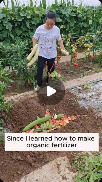 Home Gardening on Instagram: "Use kitchen waste as fertilizer to care for plants #garden #gardening #plants #planting #planthacks #gardenhacks #gardeningmakemehappy #gardeningtips #gardeningideas #gardeninspiration #gardenlove" Care For, Fall Garden Vegetables, Natural Fertilizer, Plant Hacks, Gardening Plants, Fertilizer For Plants, Home Gardening, Garden Help, Kitchen Waste