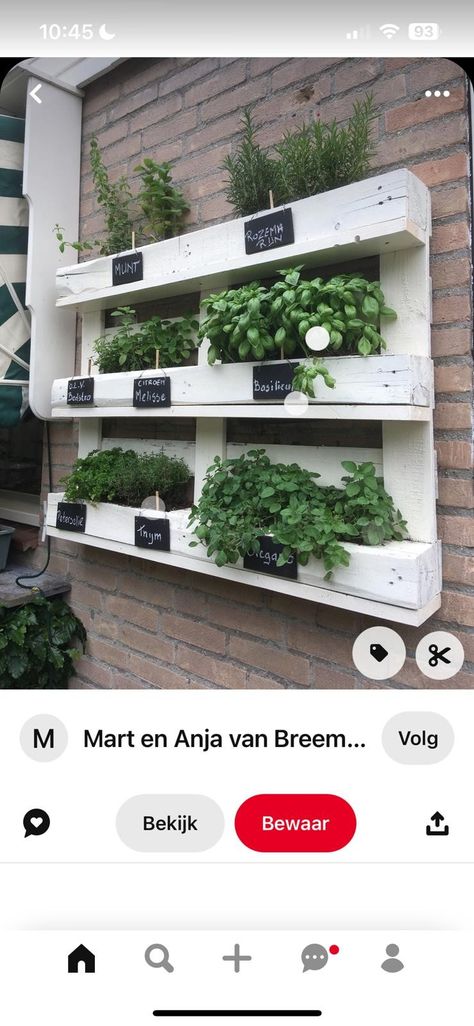 Herbs On Wall, Herb Pallet Garden, Pallet Herb Garden, Pallet Garden Walls, Herb Garden Wall, Herb Garden Pallet, Pallet Projects Garden, Vertical Garden Diy, Garden Decor Projects