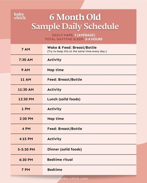 6 month old sample daily schedule graphic 6 Month Old Routine, 9 Month Old Daily Schedule, Six Month Old Feeding Schedule, 6 Month Schedule Baby, 6 Month Feeding Schedule, Feeding Schedule For 6 Month Old, 6 Month Old Feeding Schedule, 4 Month Old Schedule, 6 Month Old Schedule