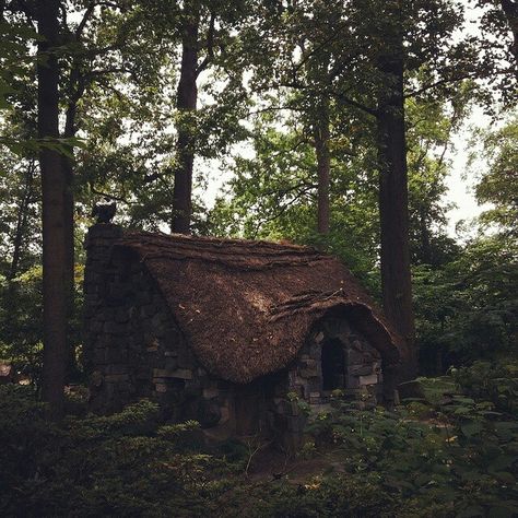 Witches Cottage, Witch Cottage, Storybook Cottage, Cottage Cabin, Dark Cottagecore, Cottage In The Woods, Casa Exterior, Thatched Roof, Witch House