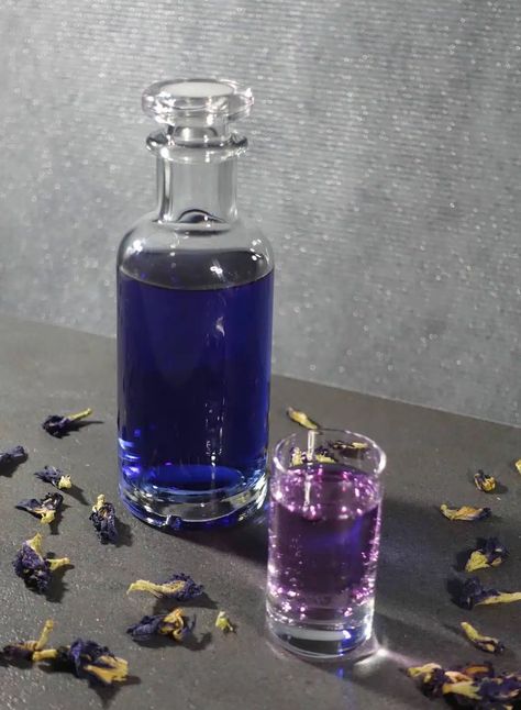 Infused Cocktails, Infused Gin Recipes, Gin Infusion Recipes, Pea Flower Cocktail, Pea Flower Gin Cocktail, Butterfly Pea Flower Recipe, Butterfly Pea Cocktail Recipe, Butterfly Pea Cocktail, Gin Infusions