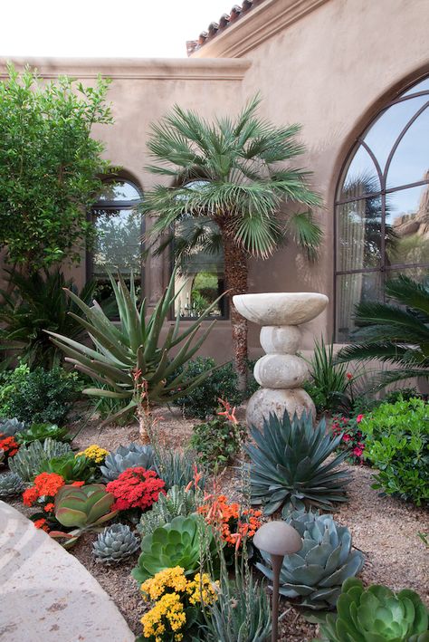 Desert Front Yard, Desert Plants Landscaping, Curb Appeal Landscaping, Desert Landscaping Backyard, Desert Landscape Design, Cactus Garden Landscaping, Curb Appeal Ideas, Desert Backyard, Mexican Garden