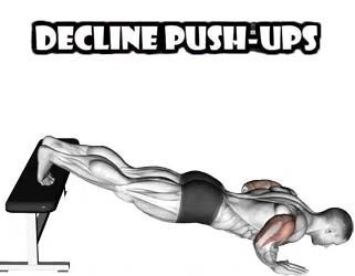 How to Do Perfect Push-Ups Decline & Incline Push-Ups Decline Push Ups, Push Ups, Fitness Bodybuilding, Push Up, Ups, Bodybuilding, Sports, Quick Saves