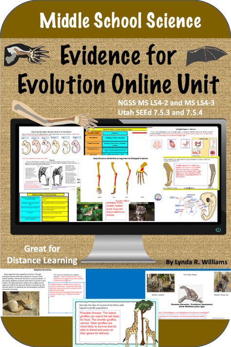 Analogous Structures, Homologous Structures, October Science, Stem Projects Middle School, Evolution Activities, Ngss Middle School, Montessori History, Comparative Anatomy, Biology Ideas