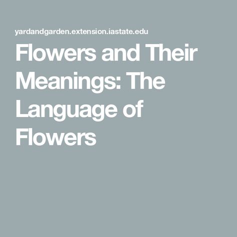 Flowers and Their Meanings: The Language of Flowers Flowers And Their Meanings, Evergreen Flowers, The Language Of Flowers, Mock Orange, Bachelor Buttons, Question Sign, Flower Meanings, Master Gardener, Language Of Flowers