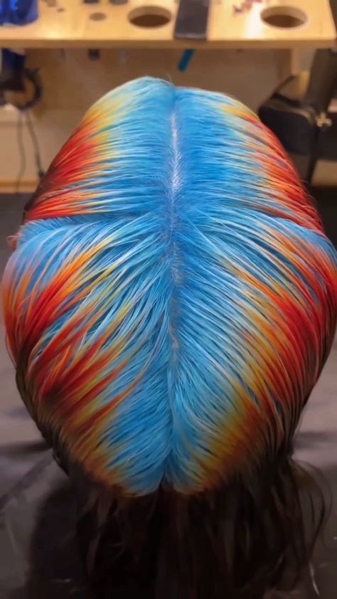 elevatehair on Instagram: Infrared roots by @hairfucker Hair: @mari_umi_ 💙🧡❤️ • • • • #processvideo #pridemonth #pride #wethair #vibranthair Block Coloring Hair Techniques, Rainbow Roots Hair, Sunset Hair Color Ombre, Fun Color Hair, Orange Blue Hair, Blue Hair Tips, Orange And Blue Hair, Vivid Color Hair, Fun Colored Hair