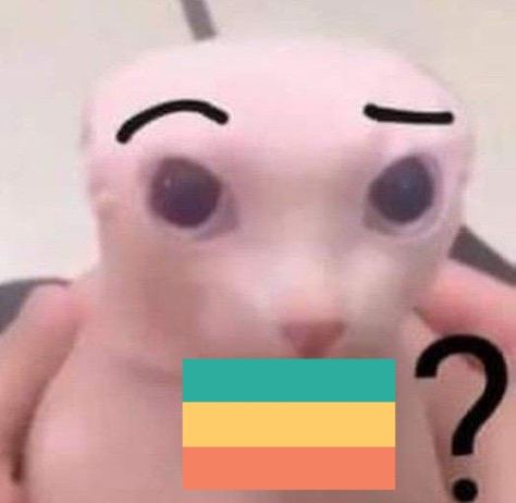 Pan Flag, Anime Crafts Diy, Goth Princess, Pansexual Flag, Hello Kitty Videos, Lgbt Memes, Pansexual Pride, Gay Humor, Anime Crafts