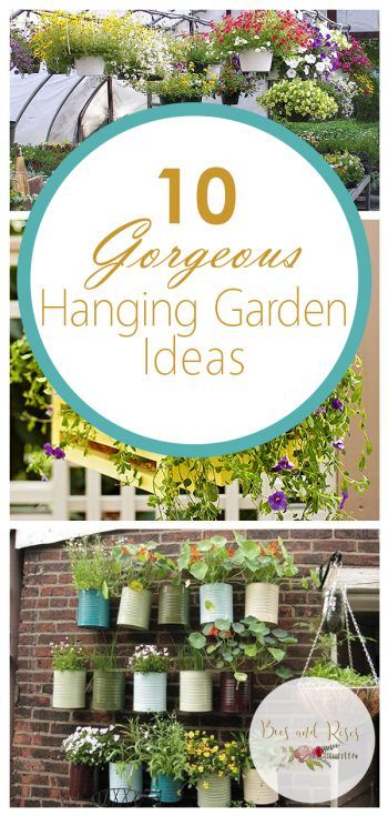 10 Gorgeous Hanging Garden Ideas Hanging Bucket Planter, Hanging Garden Decor, Farm Exterior, Hanging Garden Ideas, Hanging Plants Outdoor, Hanging Plants Diy, Rose Gardening, Indoor Plant Wall, Hanging Plant Wall