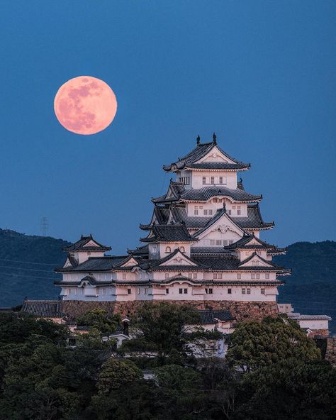 Japan Content on Twitter: "Himeji Castle 🏯… " Chalet House, Himeji Castle, Japanese Travel, Japan Landscape, Japanese Castle, Japan Architecture, Castle Aesthetic, Flower Moon, Porto Rico