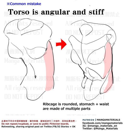 Manga Materials, Anatomy Tutorial, Art Advice, Human Anatomy Drawing, Human Anatomy Art, Anatomy Sketches, Anatomy For Artists, Body Reference Drawing, Anatomy Drawing