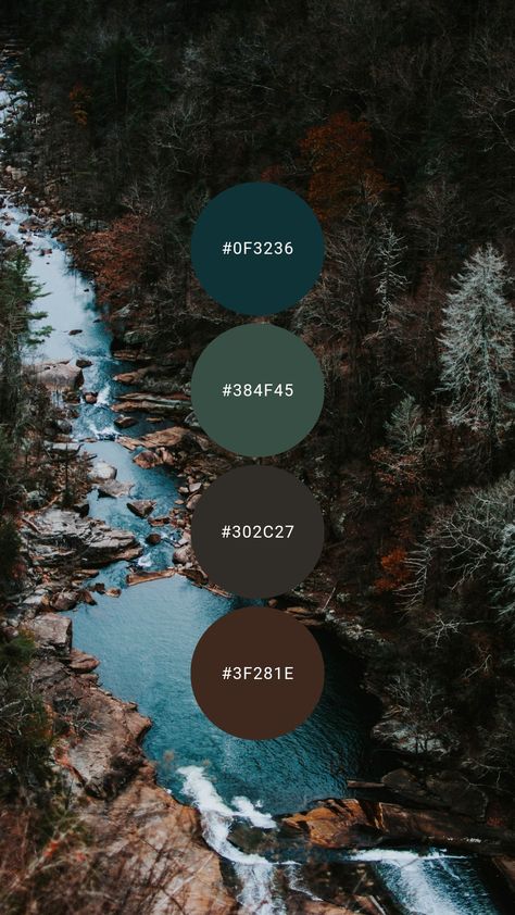 Muted Winter Color Palette, Color Palette Forest, Teal Color Palette, Teal Living Rooms, Teal And Brown, House Color Palettes, Brown Color Palette, Forest Color, Color Schemes Colour Palettes