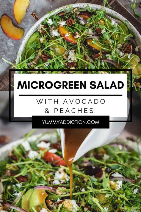 This seasonal microgreen salad is a great way to highlight summer produce while enjoying healthy greens that can grow year around. With fresh peaches, nuts, salty cheese and an easy homemade dressing, you’ll fall in love with microgreens as your new salad go to. #salad #microgreen #healthy #avocado Salad With Microgreens, Microgreens Salad Recipe, Microgreen Salad, Mediterranean Salads, Salad With Peaches, Microgreens Recipe, Sprouts Recipes, Healthy Greens, Fall Meals