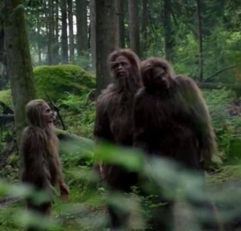 Insights from a Quantum Healing Session, by Gideon | Sasquatch Close Encounter Network for Interspecies Communication Real Bigfoot Pictures, Aura Field, Sasquatch Funny, Sasquatch Sightings, Bigfoot Stories, Bigfoot Pictures, Quantum Healing, Bigfoot Art, Fairytale Creatures