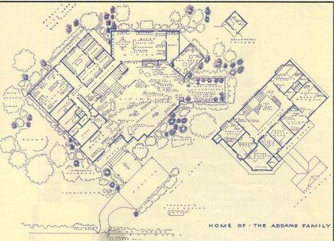 Addams Family house floor plan Addams Family House, Mark Bennett, Addams Family Movie, The Adams, Sims Builds, Mansion Floor Plan, Tv Home, Architectural Floor Plans, The Addams Family