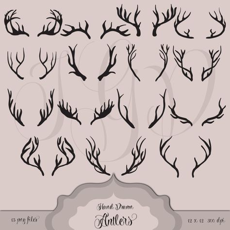 How To Draw Antlers, Types Of Antlers, Mammals Drawing, Antler Drawing, Antlers Drawing, Drawing Deer, Antler Christmas, Antler Design, Scrapbooking Wedding