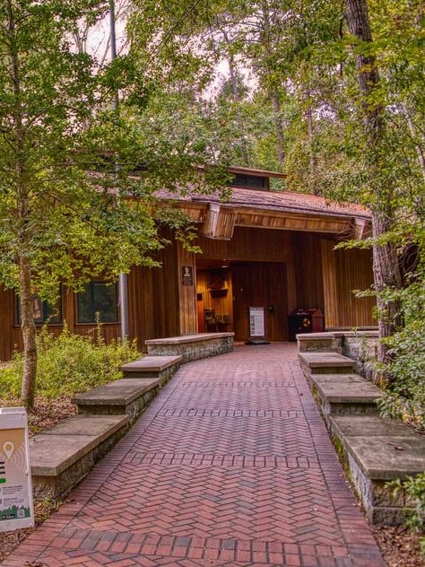 Find Your Peace and Adventure in Congaree National Park Park In Autumn, Congaree National Park, Find Your Peace, South Carolina Travel, Dream Trips, Bald Cypress, Wildlife Reserve, Kiawah Island, Ancient Forest