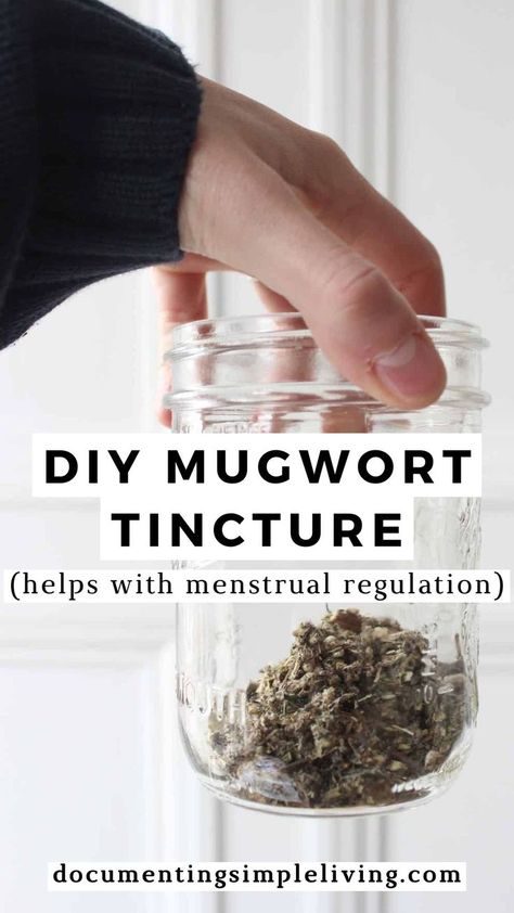 A light hand holding a glass jar with dried mugwort inside. Mugwort Tincture, Diy Tinctures, Tincture Recipes, Mugwort Tea, Witchy Apothecary, Herbal Vinegar, Tinctures Recipes, Tincture Bottles, Medicine Recipes