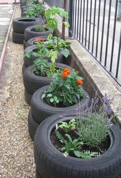 Plantarea Legumelor, Gemüseanbau In Kübeln, Tire Garden, Preschool Garden, Eco Garden, Sensory Garden, Veg Garden, School Garden, Container Gardening Vegetables