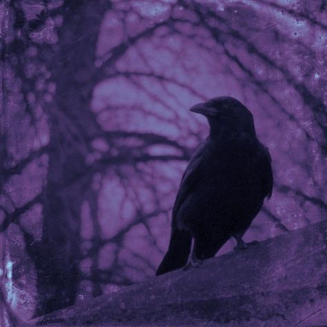 Necromancy Aesthetic Purple, Purple Wings Aesthetic, Dark Purple And Red Aesthetic, Purple Queen Aesthetic, Dark Purple Grunge Aesthetic, Purple Royalty Aesthetic, Purple Vampire Aesthetic, Dark Purple Grunge, Royal Purple Aesthetic